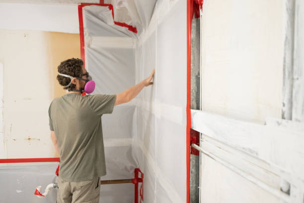 Best Mold Prevention Services  in Antelope, CA