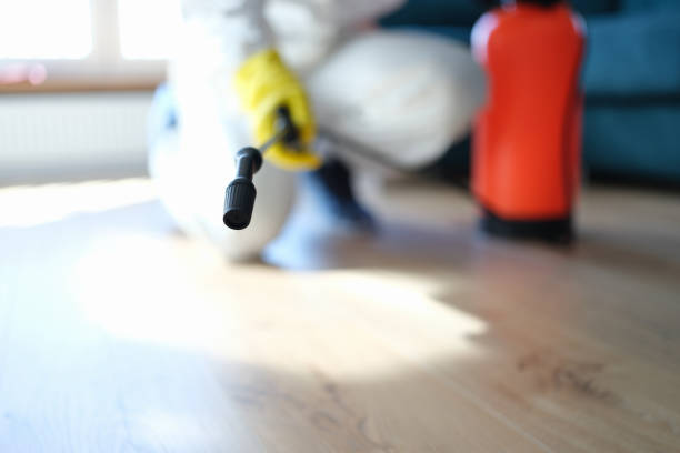 Best Asbestos and Lead Testing During Mold Inspection  in Antelope, CA