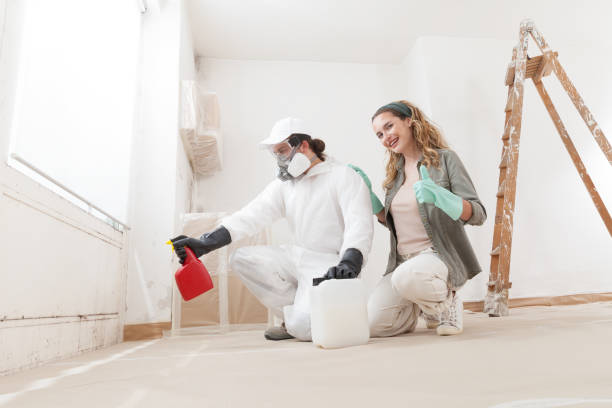 Trusted Antelope, CA Mold Removal Experts